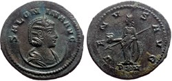 SALONINA SOLD 190
