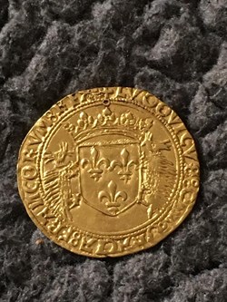 écu d'or aux Porcs Epics Louis XII DIJON