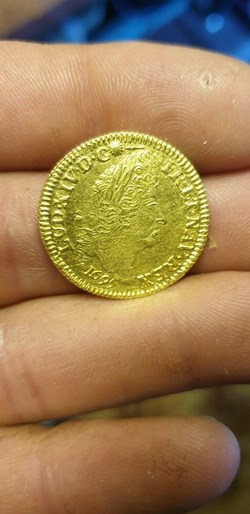Louis d'or Louis XIV dit Aux 4L 1695 P