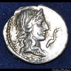Caecilia