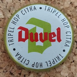 Duvel - Tripel Hop Citra
