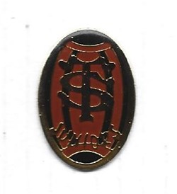 Stade Toulousain 17