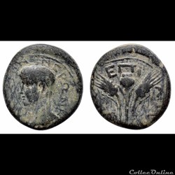 Néron / Elaea, Eolide / Pavot § épis de blé