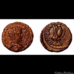 Geta / Marcianopolis, Mésie Inférieure / Aigle