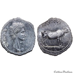 Reproduction Denier Auguste / Génisse