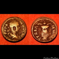 Gordien III / Tralles, Lydie / Vase avec pavot § épis de blé / Rare