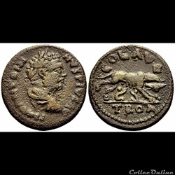 Caracalla /  Alexandrie de Troade / Louve / Rare