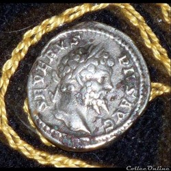 SEPTIME SEVERE - AR Denier de 2,9g et 19 mm de diamètre.