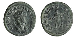 Aurélien