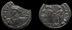 228 - Probus - CONCORD MILIT /-//PXXT