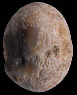 Percuteur dur (silex)