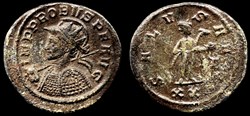 025 - Probus - SALVS AVG /-/T/XXI