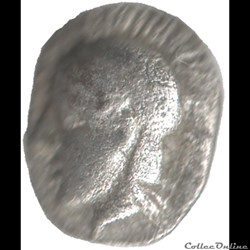 Hemiobole Elaea