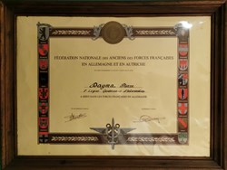 1950 Diplôme la Fédération Nationale des Anciens des Forces Françaises en Allemagne et en Autriche