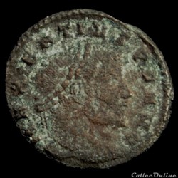 Follis de Maxence pour Ticinium