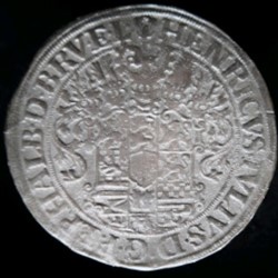 Thaler Braunsweig-Wolfenbuttel Henricus Julius 1604 à l'homme sauvage