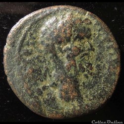 Septimius Severus AE 19