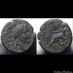 Septimius Severus AE 20