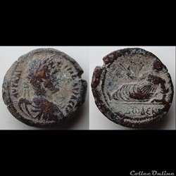 Hadrian Hemidrachm, Alexandria/Egypt