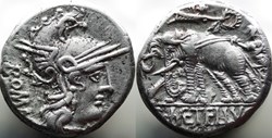 Crawford 269/1, C. METELLVS (C. Caelius Metellus Caprarius) Denar, 125 BC, Rom
