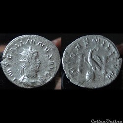 Gallienus, Göbl 871f (R3) FOR SALE/A VENDRE € 25,00