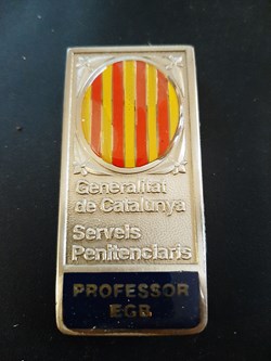 Profesor de EGB