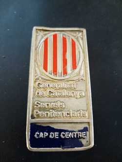 Insignia Jefe de Centro