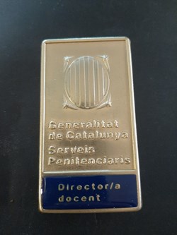 Director/a docente
