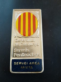 Servicio área mixta