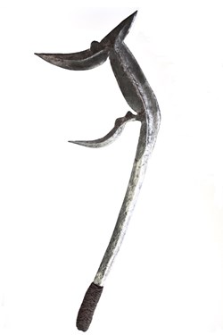 Teda 003