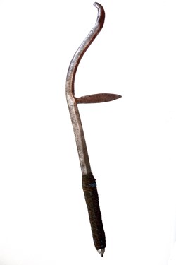 Sara Musgum 002