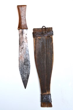 Fang 001