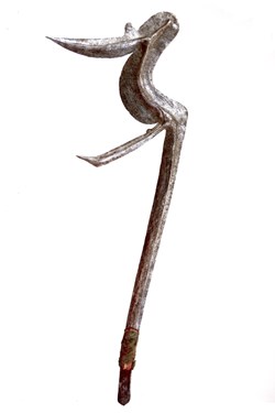 Teda 006