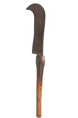 Nyankole 001