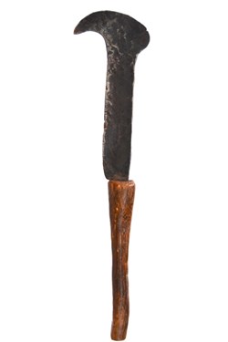 Soga