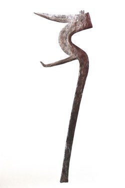 Teda 007