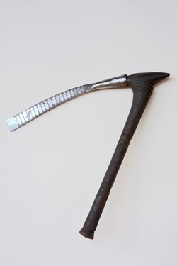 Mossi 001