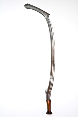 Boa 001