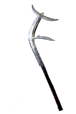 Teda 005