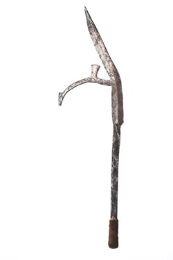 Fur 001