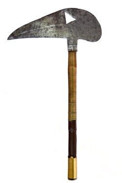 Fang Zamane 001