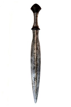 Fang 002