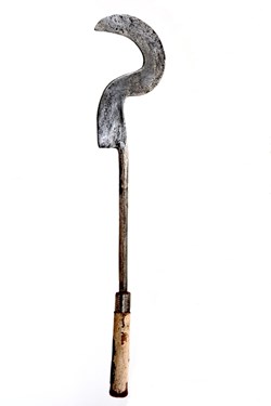 Tutsi 002