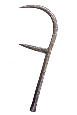 Marghi 001