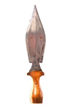 Fang 002