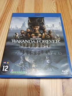 Black Panther - Wakanda Forever