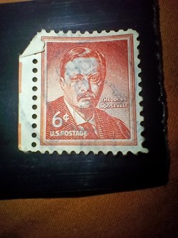 Theodore Roosevelt - 6c US postage