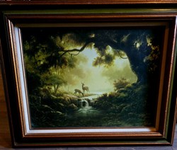 Woodland Reflections