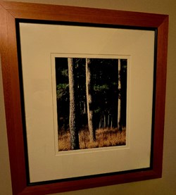 Pines