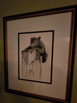 Young Bear Study